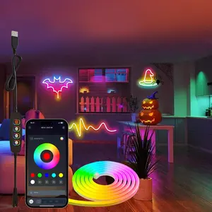 USB Powered 5V LED Neon Rope Light, 1 Count Smart 5050RGB+IC LED Lights, Application Control & Music Synchronization LED TV Light, DIY LED Lights, Programmable Led Light, Led Strip Light