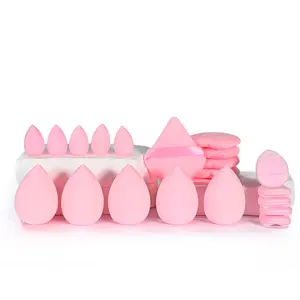 20-Piece Makeup Tools Set, Beauty Sponge Kit, Dry & Wet Use Powder Puffs, Essential Cosmetic Tools for Flawless Application, Makeup Brushes Kits