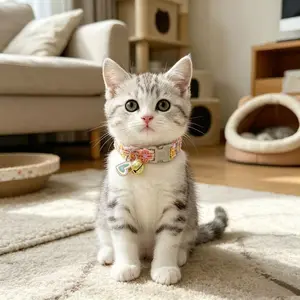 Colorful Lace Flower Pet Collar with Bell, Adjustable Neck Necklace, Cute Decorative Collar for Cats Small Dogs Puppy Pet Accessories