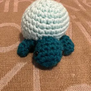 Crochet Turtle