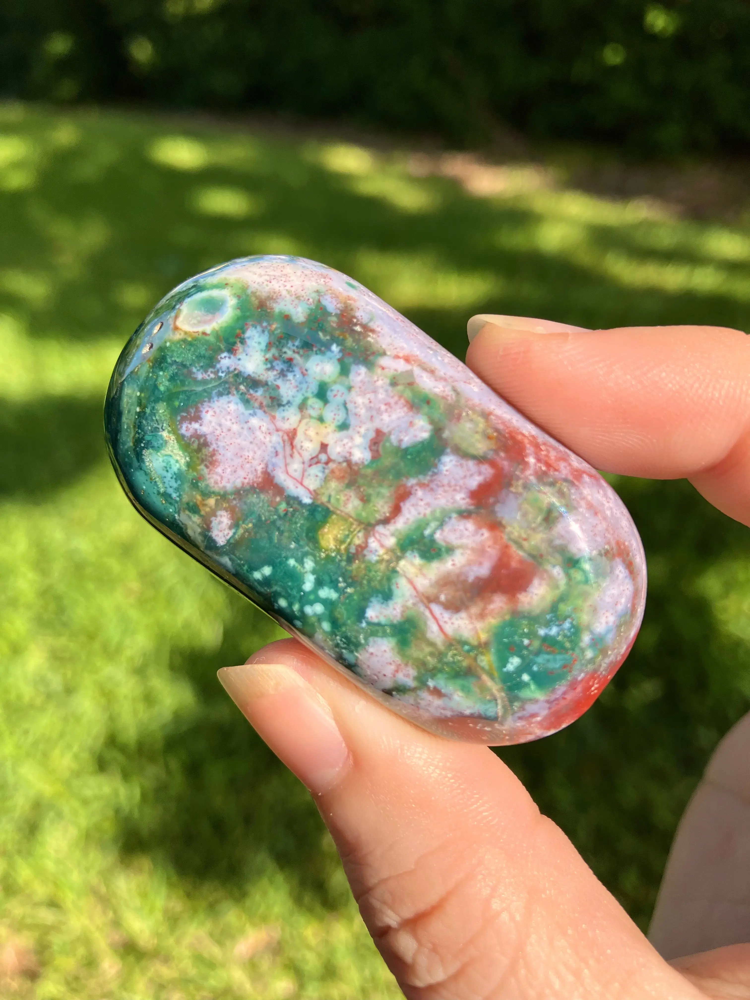 Ocean Jasper Mini Palm