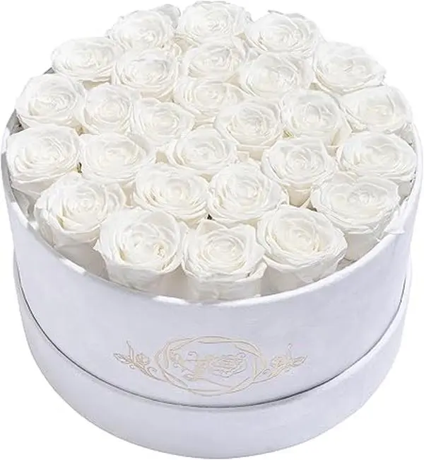 27 Roses in a Luxury Suede Box, Mother Day Flowers Gifts for Mom, Preserved Flowers for Her, Birthday Gifts for Women, White