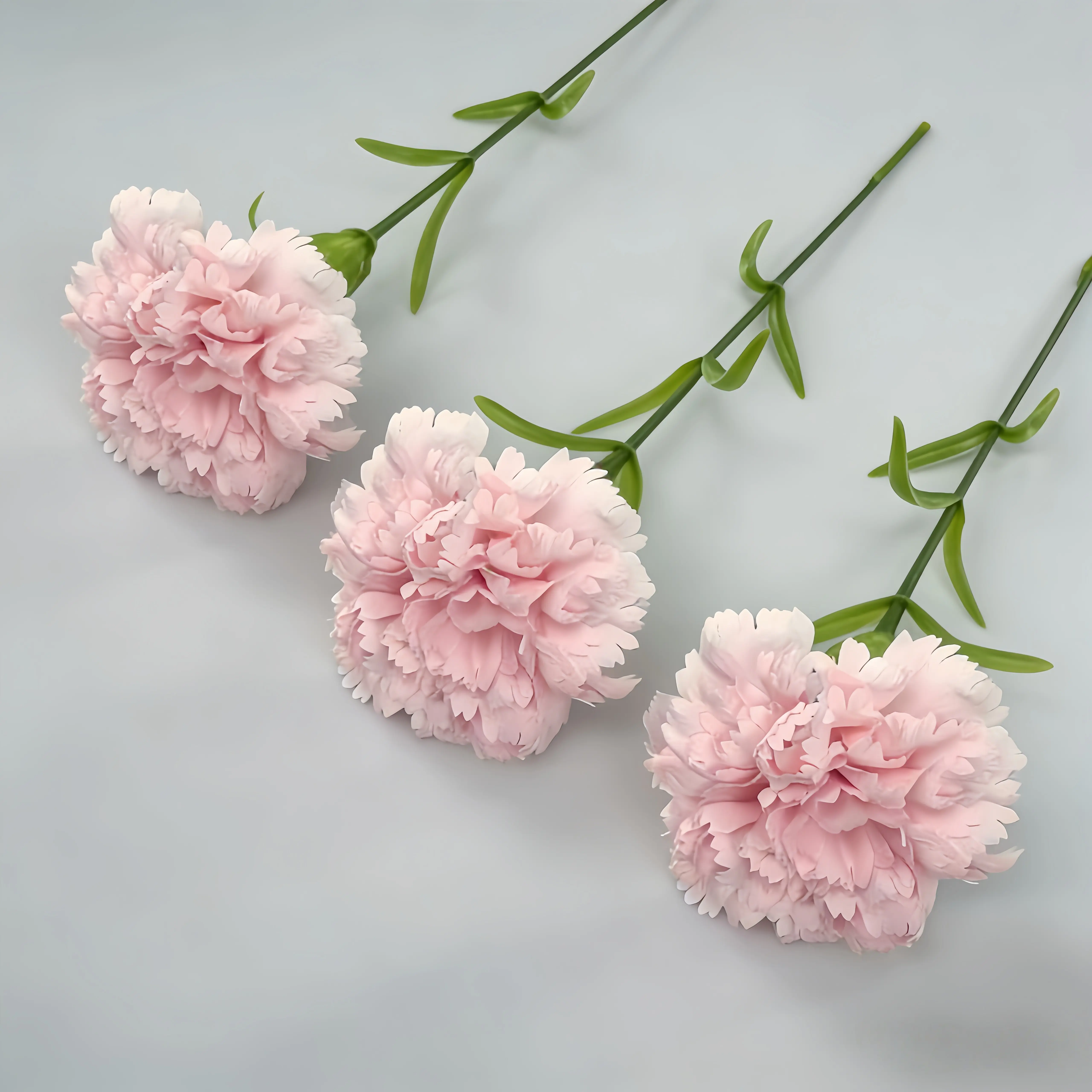 Carnation-Pink-3pcs