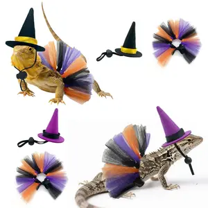 Lizard Costume Witch Transformation Dress, Hat Tutu Skirt, Holiday Christmas Halloween, Chameleon Costume, Fun Party