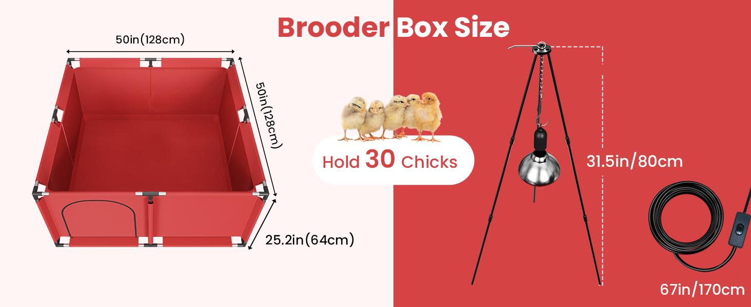 Square Brooder Box for Chicks, All-in-One Chick Starter Kit with 250W Heat Lamp, Perch, Feeder & Waterer Set, Stainless Steel Frame, Fits Up to 30 Chicks (Lamp)