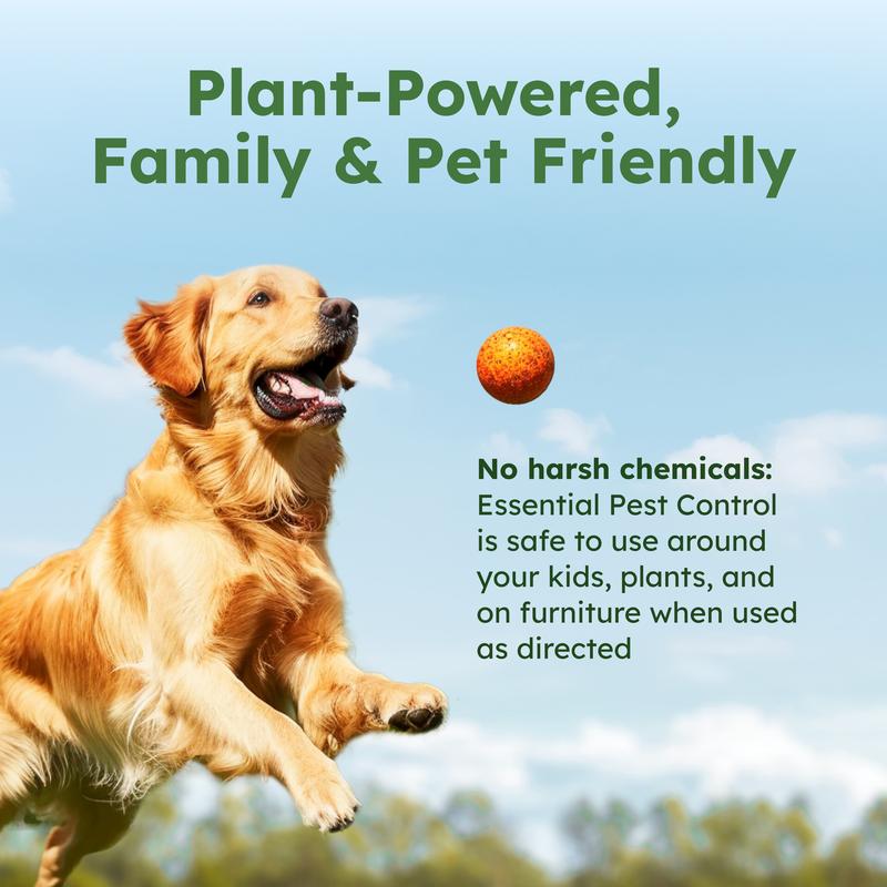 BugMD Essential Pest Control Concentrate – Natural Ant, Roach, Spider Killer for Indoor & Outdoor Use with Essential Oils