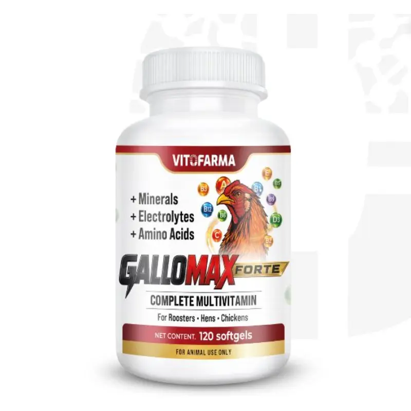 Gallomax Forte 120 Softgels – Complete Multivitamin for Roosters & Chickens