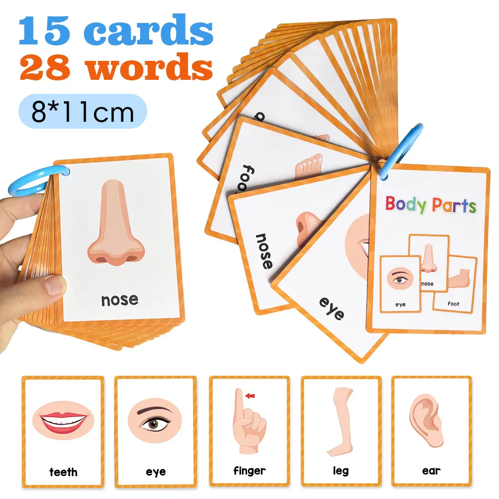English Body Parts Flashcards, Toddler Flash Cards, Visual Stimulation Cards, Early Education Learning Cards, Educational Toys for Kids, Fun and Interactive Vocabulary Cards, Sight Words Flash Cards Kindergarten, Word Cards, Preschool Learning Tool