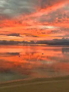 Art + Prints + Sunset