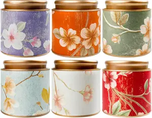 Tea Tin Canisters 6Pcs - Loose Leaf Tea Storage Small Empty Tins Vintage Round Airtight Storage Tin Containers with Lids, Tinplate for Teas, Coffee, Herbal, Spices & Dry Food (3.93 x 4.13 in)