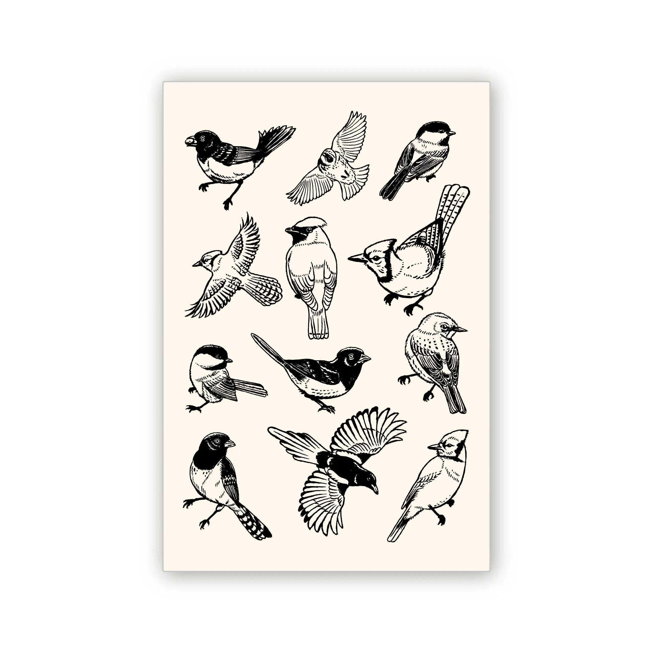 Bird Postcard
