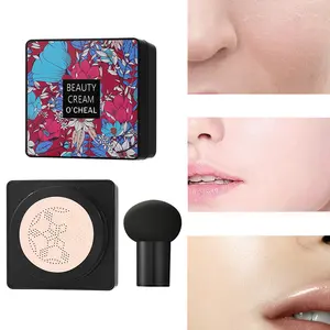 Long Lasting Cushion Foundation, Delicate Fit Texture, Full Coverage Concealer, Natural Even Skin Tone with Long Lasting Makeup Effect