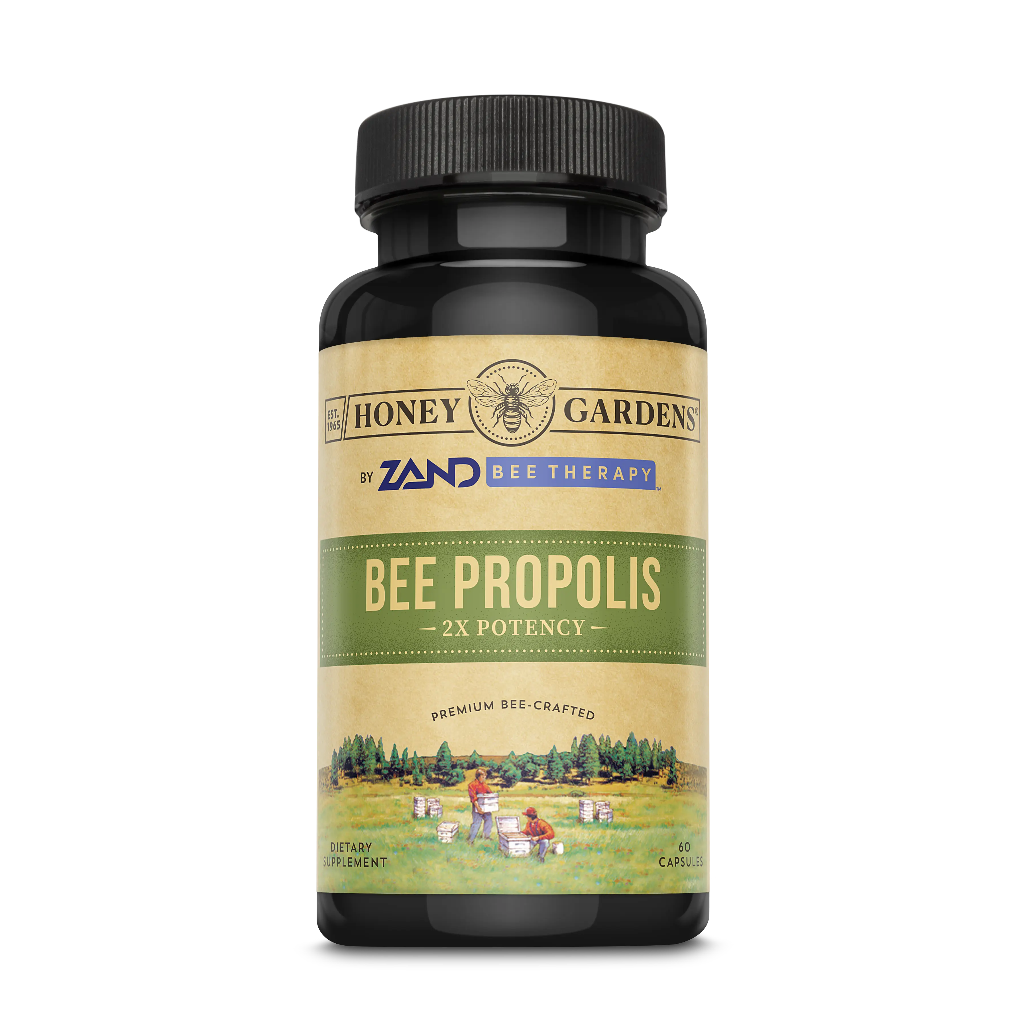 ZAND Bee Propolis 800 mg Concentrate 2x Potency for Powerful Benefits Dietary Supplement Healthcare
