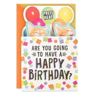 Singing Cats Funny Musical Pop-Up Birthday Card