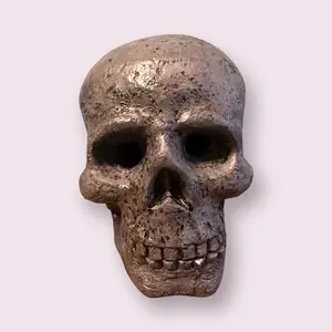 Skull Incense Cone Holder: Wood Powder