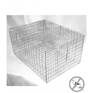 Bird B Gone BMP-SP2C Sparrow Trap With Two Chambers - 8 x 12 x 16 in.