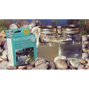 212 MAIN Applied Polymer Systems Pond Zinger Algae Killer - For Small Ponds, Magnetic Bind Design, Supports Fish Health, Balances Water Ecosystem, Maintains Water Quality