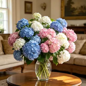 Mixed Hydrangea Seeds for Planting - Hortensia Perennial Shrub, Hardy Mophead Flowers for Partial Shade, Non-GMO Heirloom for Garden Borders, Cut Flower, Outdoor Landscapes