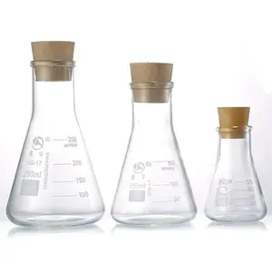 Glass Erlenmeyer Flask Set