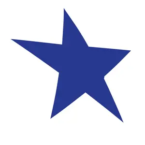 StarBlue shop logo