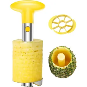 Easy Kitchen Tool Stainless Steel Fruit Pineapple Peeler Corer Slicer