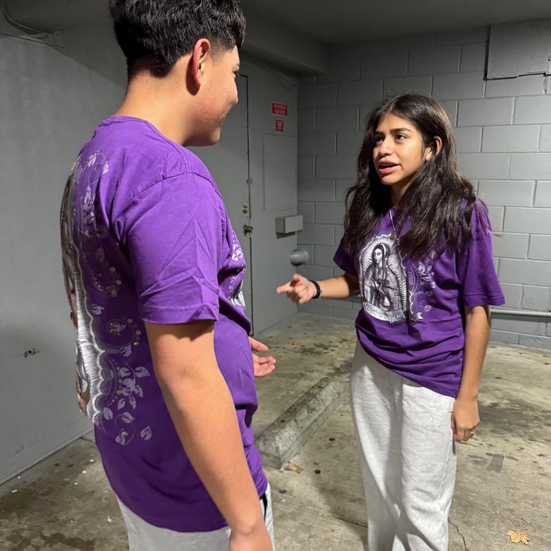 Virgencita Premium High Quality Shirts - Unisex