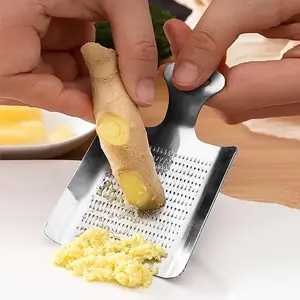 1pc Stainless Steel Garlic Grinder, Ginger Grinder, Kitchen Small Tool