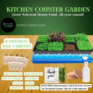 Kitchen Counter Garden