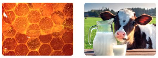 FINN Allergy & Itch for Dogs - Natural Allergy Relief, Itchy Skin, Immune Support, Bee Propolis, Probiotics - 90 Soft Chews FINN Allergy & Itch for Dogs - Natural Allergy Relief, Itchy Skin, Immune Support, Bee Propolis, Probiotics - 90 Soft Chews