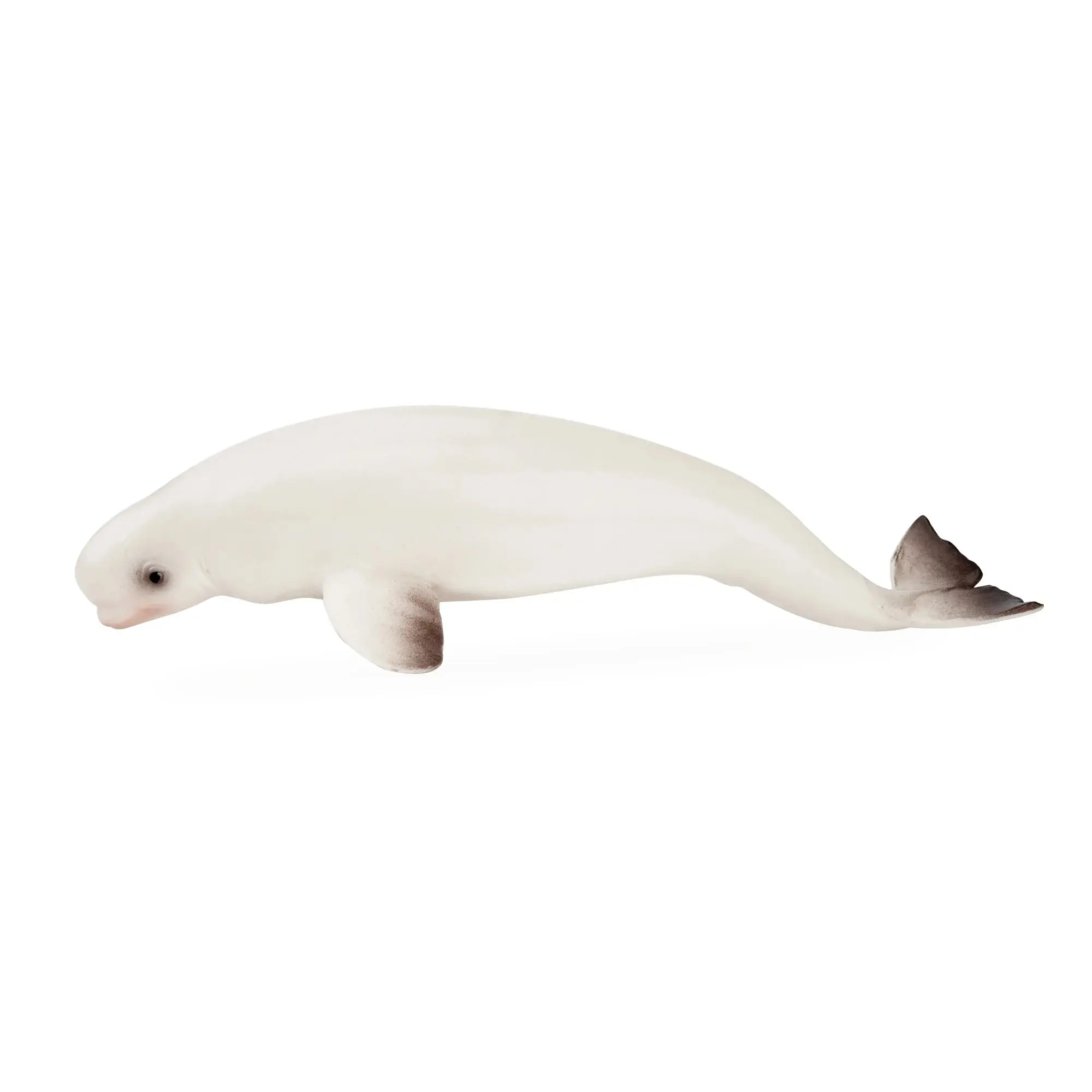 Toymany Hand-Painted Beluga Whale Figurine – Realistic Marine Animal Model, Perfect for Early Education, Montessori Sensory Play, Cake & Party Decorations, Desk & Home Décor, Thoughtful Gifts, and Collectible Figurine