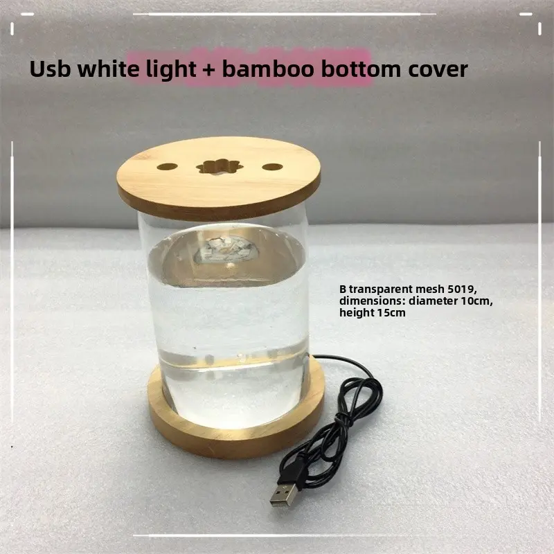 Fish tank + USB white light