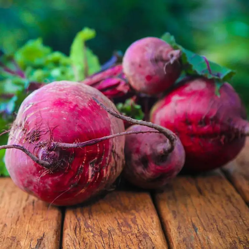 Ruby Queen Beet Organic Seeds (Beta vulgaris) – Deep red, sweet, and tender beets with smooth skin. Perfect for roasting, salads, and pickling.