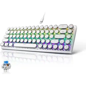 65% Wired Mechanical Gaming Keybaord, Compact 68  Mini Keyboard with Arrow , RGB Rainbow Backlight, Hot-swappable , Retro Round  for PC/Laptop Gamer(Blue  White)