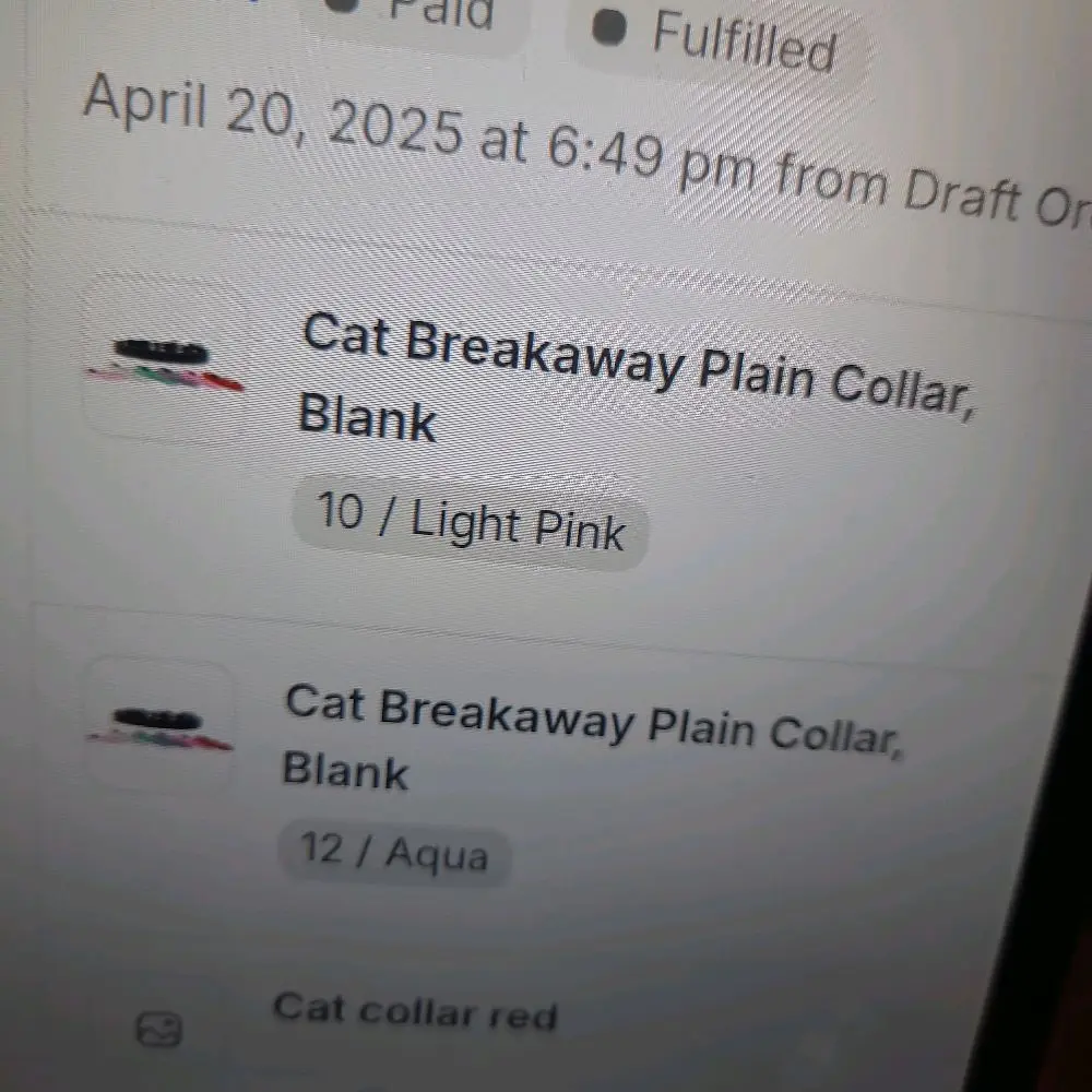 cat collars