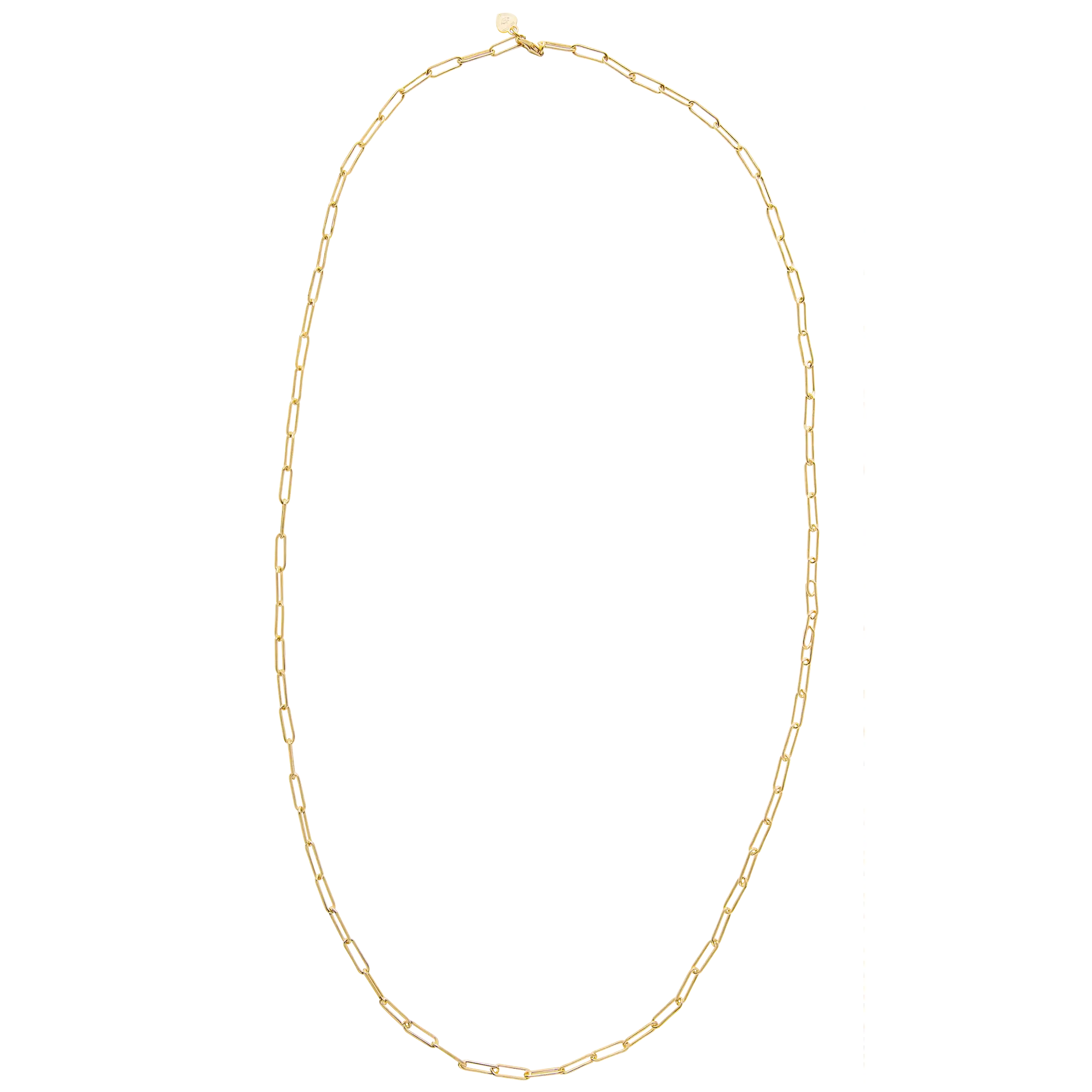 Long Link Chain Necklace by HART