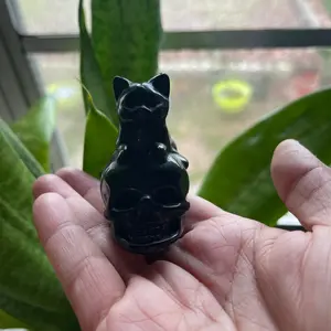 Obsidian Skull Kitty