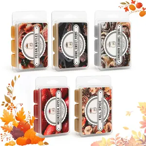 5‑Pack Fall Spice Natural Soy Wax Melts | Soy Wax • Non‑Toxic, Hand‑Poured • Apple • Cinnamon • Pecan Waffles • Pet & Family Safe