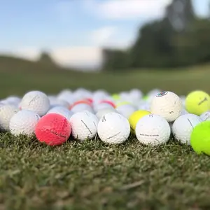 Second Swing Golf Balls - 50 Pack Including at Least 5 Pro V1s Variety Pack of Top Tier Golf Balls