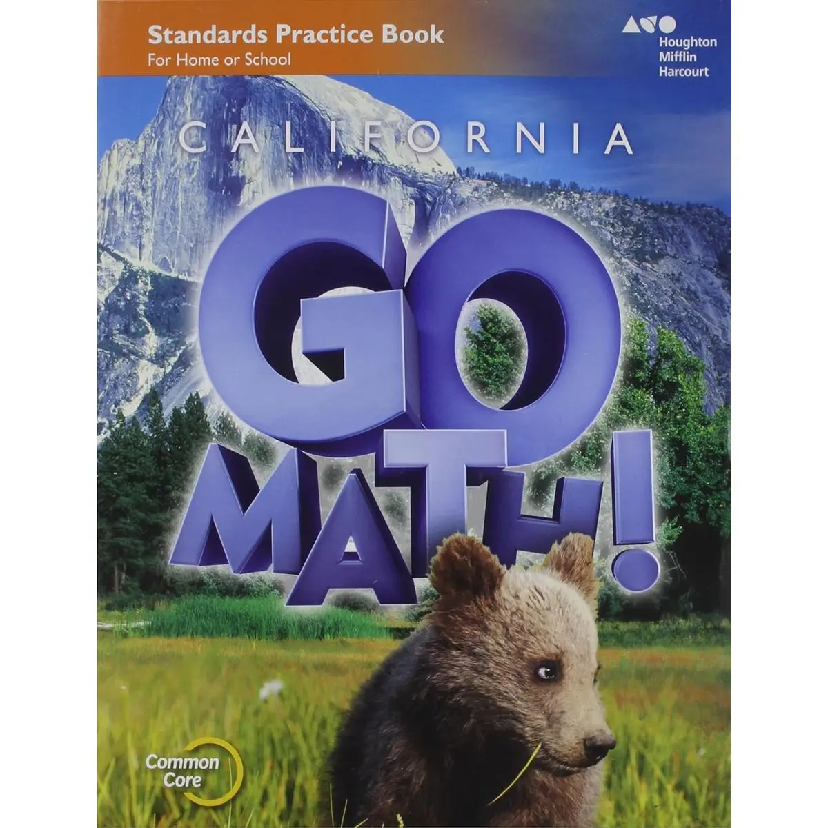Practice Workbook Grade 2 (Houghton Mifflin Harcourt Go Math!) 1st Edition