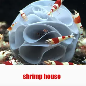 Shrimp Hiding Balls 3 Pack