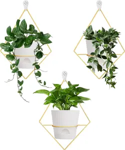3 Sets Wall Planters for Indoor  Geometric Hanging Planters for Indoor  - Self-Watering Flower Pots with Black Metal Holder, Mounted Succulent Planter, 5" Black  Pot
