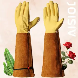 "Rose Warrior's Alchemy!🌹⚔️ Armor-Grade Leather Gauntlets - Equinox-Proof Protection from Dawn Pruning to Dusk Landscaping (2025's Convertible Cuff Tech)🌿🌅#CottagecoreGardening"