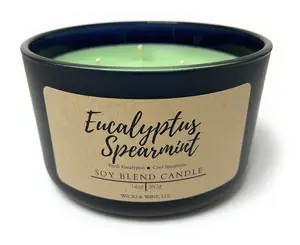 Eucalyptus Spearmint 3 Wick Candle  Decor Glass Jar Scented Lavender