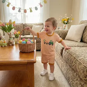 Boys Easter Shorts Sets Short Sleeve O Neck Bunny/Carrot Truck Embroidery Tops and Striped Shorts