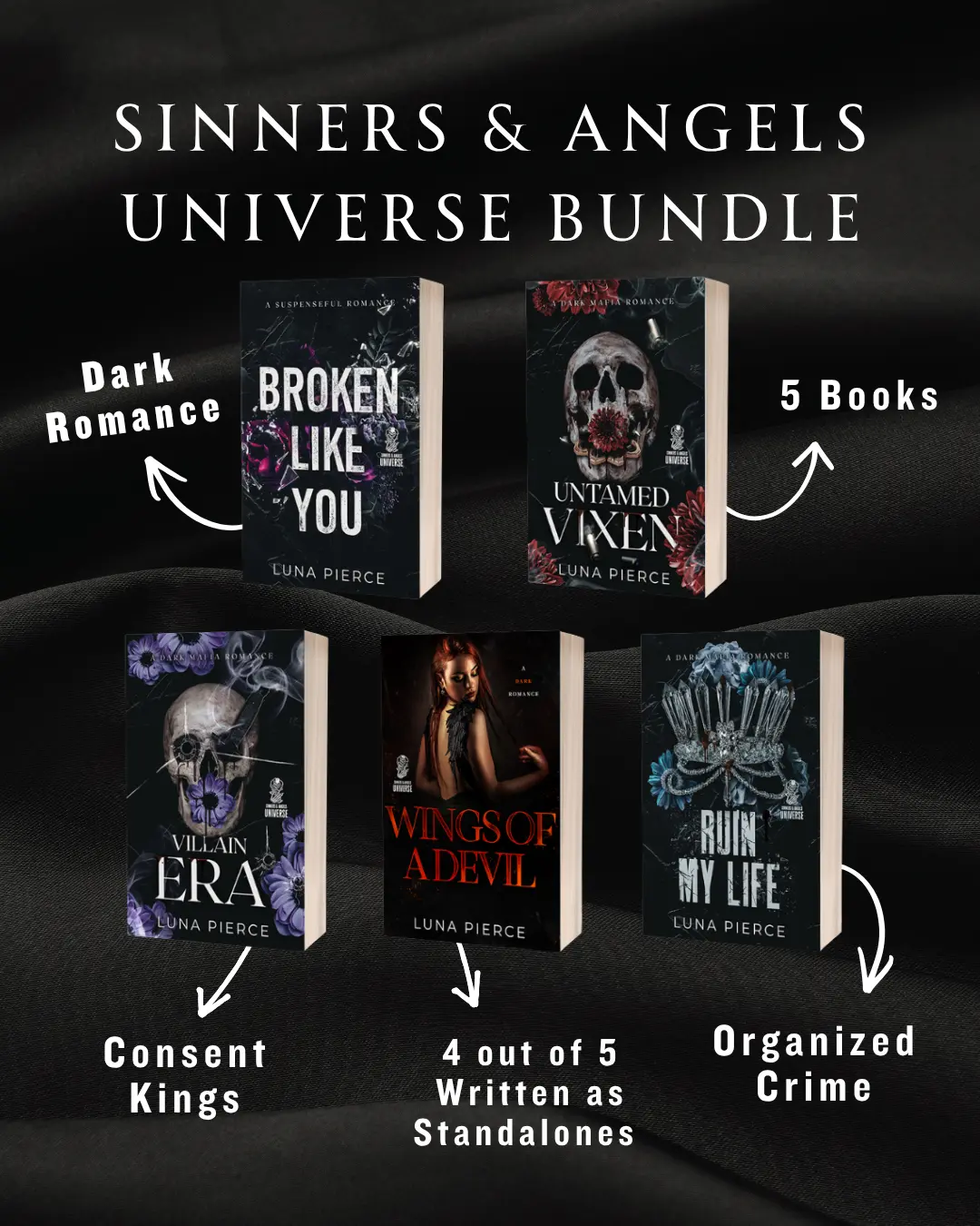 Sinners and Angels Universe book BUNDLE (Dark Mafia Romance) sets fiction books romance