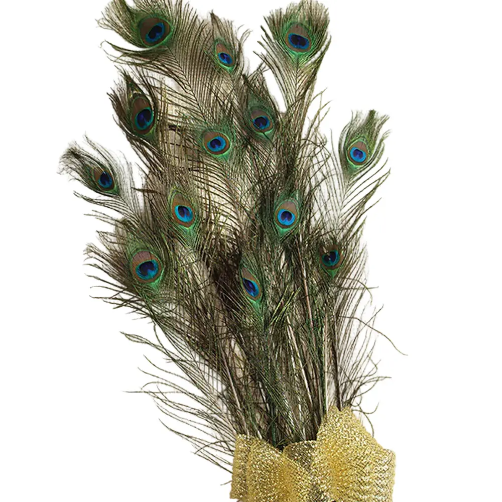 30 Inch Peacock Feathers