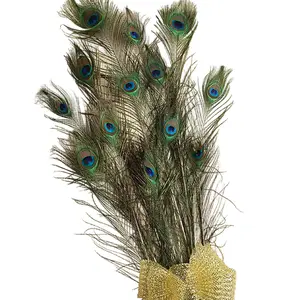 30 Inch Peacock Feathers