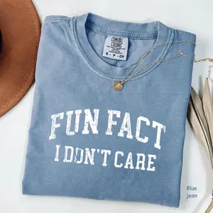 Comfort Colors Fun Fact I Don't Care T-Shirt, Funny Quote Tee, Retro Sarcastic Graphic Tee, Gift For Her, For Woman, Cotton Fabric