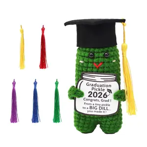 Handmade Crocheted Cucumber, Knitted Vegetable, Animal Doll, Amigurumi Gift, Positive Energy Emoji Ornament, Graduation Season Gift, Home Decor, Soft Adorable Stuffed, Huggable Collectible