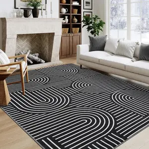 Modern Rainbow Striped Area Rug 5x7 Washable Living Room Rugs Stain Resistant Non-Slip Backing Ultra-Thin Non Shedding,for Bedroom Playroom,Black